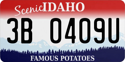ID license plate 3B0409U