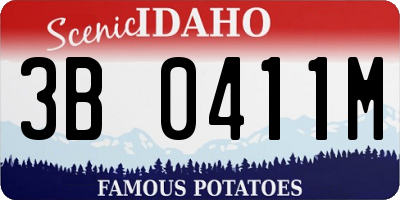 ID license plate 3B0411M