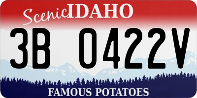 ID license plate 3B0422V