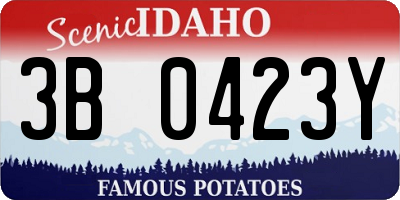 ID license plate 3B0423Y