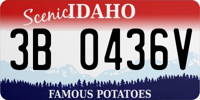 ID license plate 3B0436V