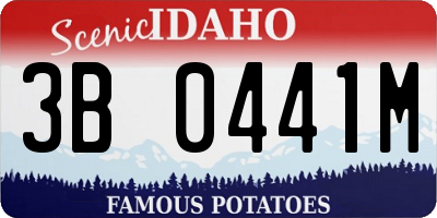 ID license plate 3B0441M