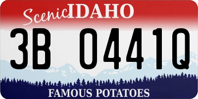 ID license plate 3B0441Q
