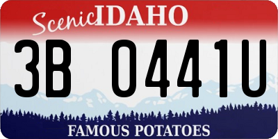 ID license plate 3B0441U