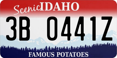 ID license plate 3B0441Z