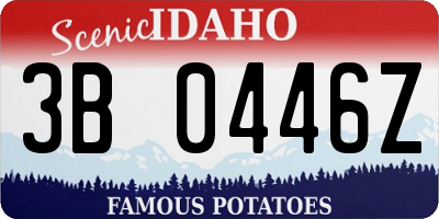ID license plate 3B0446Z
