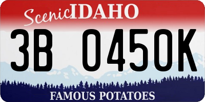 ID license plate 3B0450K