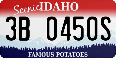 ID license plate 3B0450S