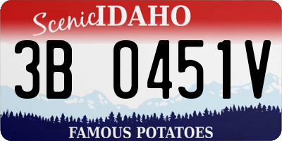 ID license plate 3B0451V