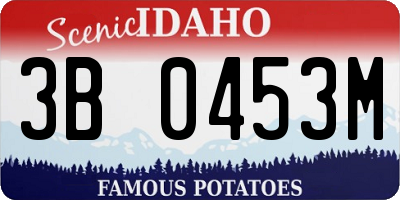 ID license plate 3B0453M