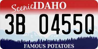 ID license plate 3B0455Q
