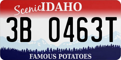 ID license plate 3B0463T
