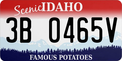 ID license plate 3B0465V