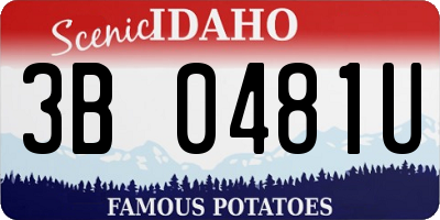 ID license plate 3B0481U