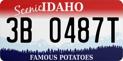 ID license plate 3B0487T