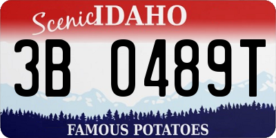 ID license plate 3B0489T