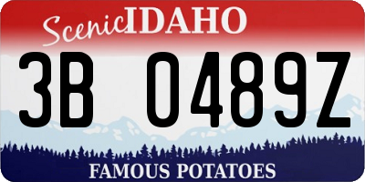 ID license plate 3B0489Z