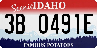 ID license plate 3B0491E