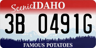 ID license plate 3B0491G