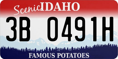 ID license plate 3B0491H