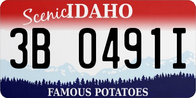 ID license plate 3B0491I