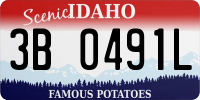 ID license plate 3B0491L