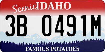ID license plate 3B0491M