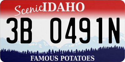 ID license plate 3B0491N