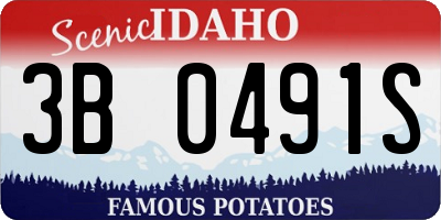 ID license plate 3B0491S