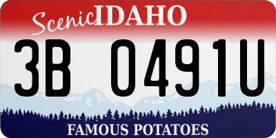 ID license plate 3B0491U