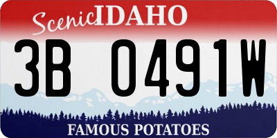 ID license plate 3B0491W