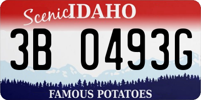 ID license plate 3B0493G