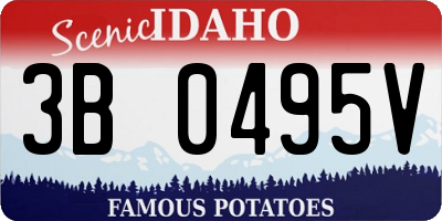 ID license plate 3B0495V