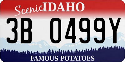 ID license plate 3B0499Y