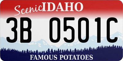 ID license plate 3B0501C