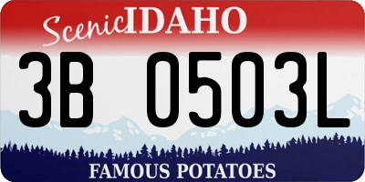 ID license plate 3B0503L