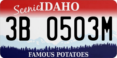 ID license plate 3B0503M