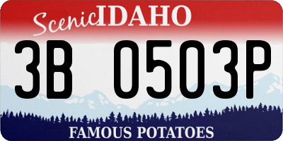 ID license plate 3B0503P