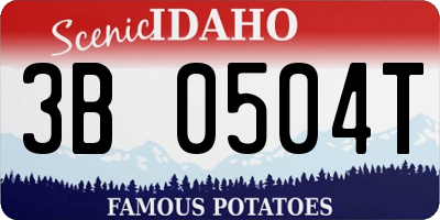 ID license plate 3B0504T