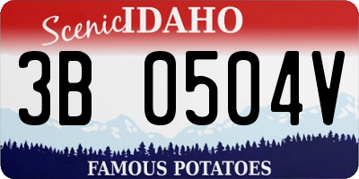 ID license plate 3B0504V