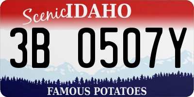 ID license plate 3B0507Y