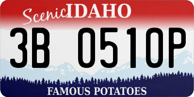 ID license plate 3B0510P