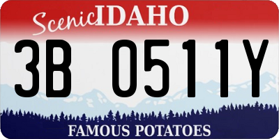 ID license plate 3B0511Y