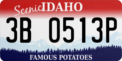 ID license plate 3B0513P