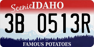 ID license plate 3B0513R