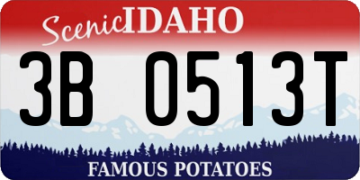 ID license plate 3B0513T