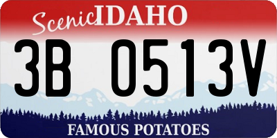 ID license plate 3B0513V