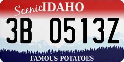 ID license plate 3B0513Z
