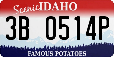ID license plate 3B0514P
