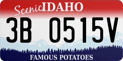 ID license plate 3B0515V
